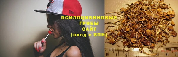 ешки Баксан