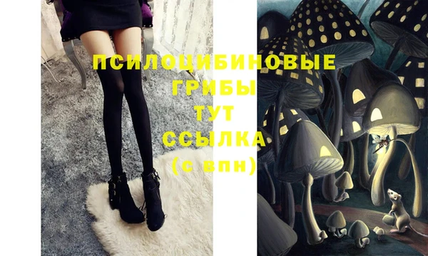 хмурый Балахна