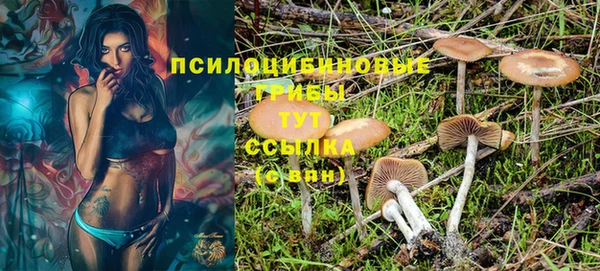 ешки Баксан
