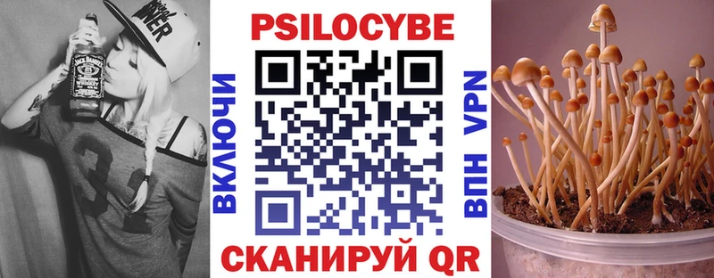 Псилоцибиновые грибы прущие грибы  Курчатов 